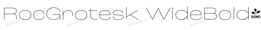 RocGrotesk WideBold字体转换